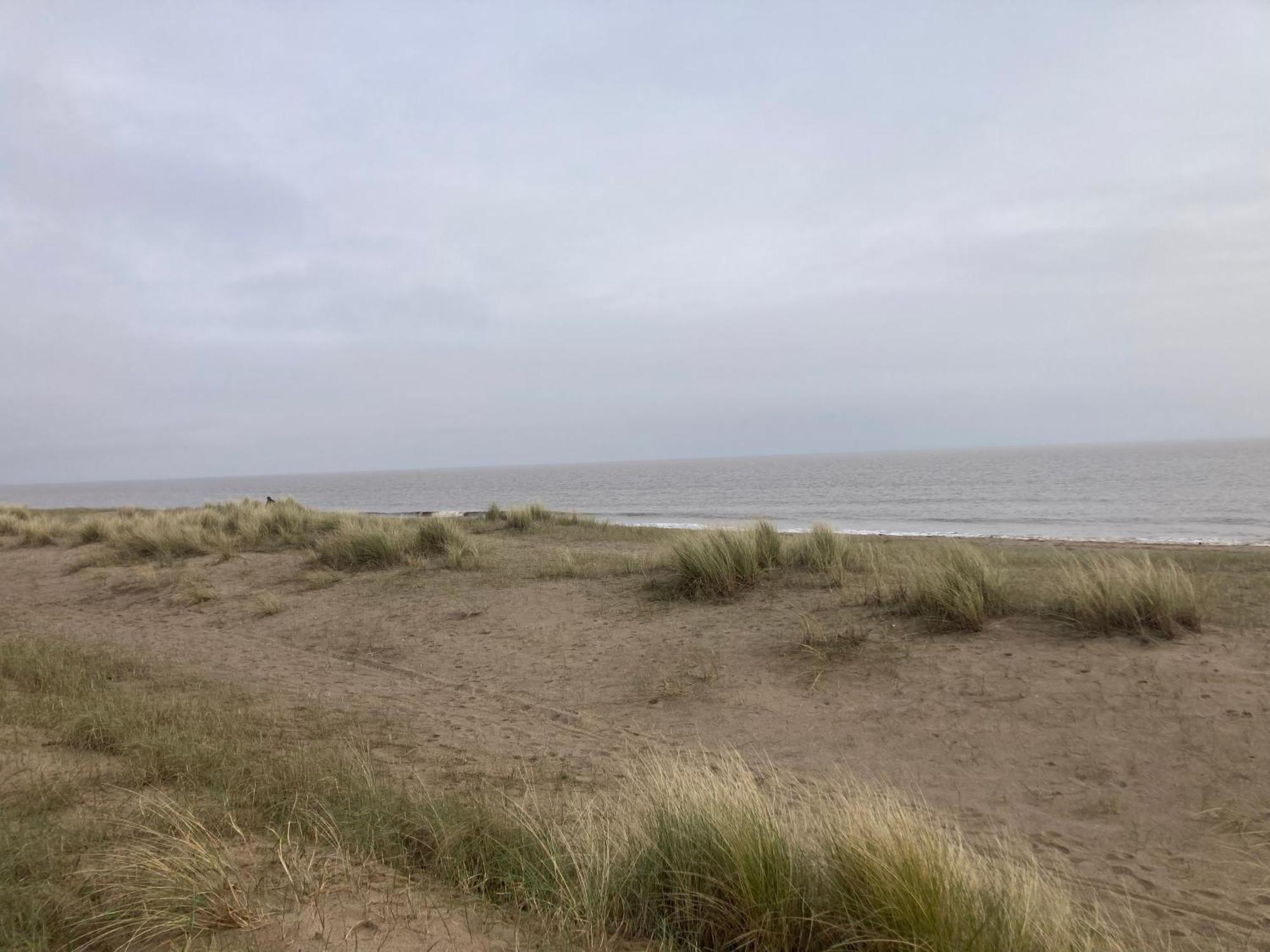 Pet Friendly On Golden Palm Holiday home Skegness